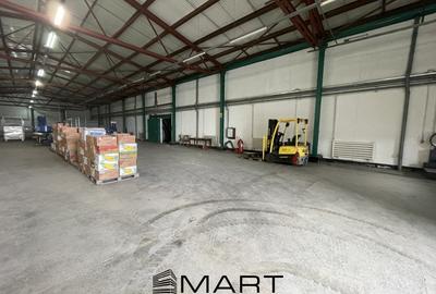 Hala productie sau depozitare 830mp zona Industriala Vest - 1