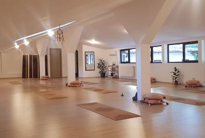 Studio sau birouri mansarda Universitate - strada Sfintilor 6 - 1