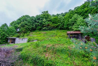 Casa De Vanzare-CEA MAI FRUMOASA PRIVELISTE SPRE BAIA MARE - 29