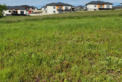 Teren intravilan autorizat, 600mp, zona Corusu/Baciu - 1