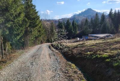 Teren intravilan cu utilitati 600 mp-ideal cabana-Colibita - 1