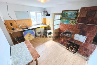 CASĂ cu teren 5958 mp – DOBRENI, judetul Neamț - 8