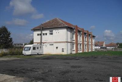 Spațiu industrial, 7000 mp în Sânnicolau Mic