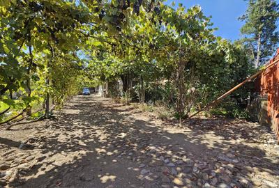 Casa in Șotânga, Teiș - 1