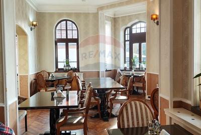 Două vile de patrimoniu, restaurate integral - 11