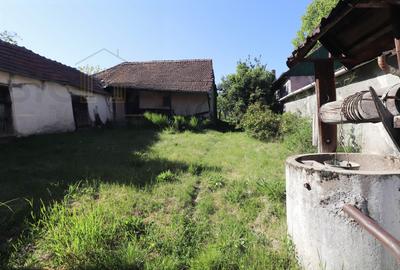 Casa cu teren generos de 2.781 mp in Tinca, Bihor - 2