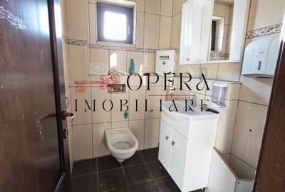 Vila individuala, 6 camere, de vanzare, zona Valea Ursului - Miroslava - 12