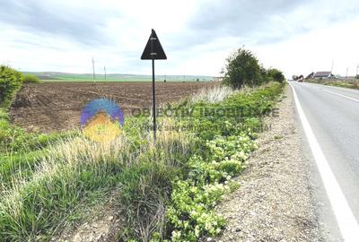 TEREN intravilan 4500 mp  PIATRA NEAMT  strada Izvoare - 6