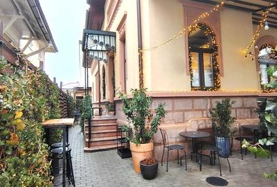 Casă cu 10 camere în Parcul Carol