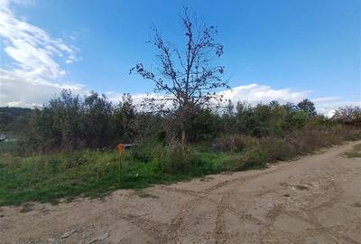 Resita, Teren Intravilan 2819 Mp., 16 Euro Mp., Calea Caransebesului, Km. 6 - 6