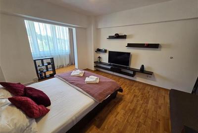Apartament spatios cu 2 camere Parcul Trandafirilor Racadau - 23