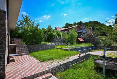 Domeniu Privat in natura, 13 camere, Cheile Rasnoavei - 20