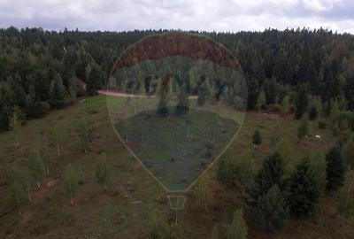 Teren extravilan parcelabil Călățele Pădure, zona Dealu Negru - 14