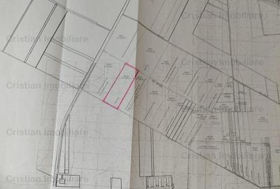 Teren intravilan de constructii Centura-Minerva 30.000 mp cu 50m front stradal - 4