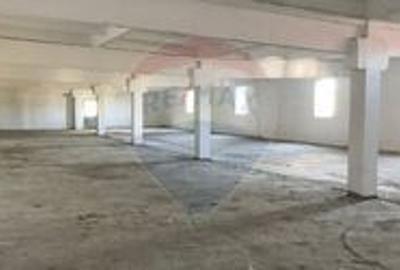Spațiu industrial de 640mp de închiriat Aluniș Arad - 3