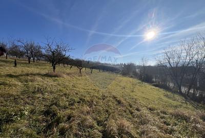 Teren intravilan, Bădeni, parcelabil - 4