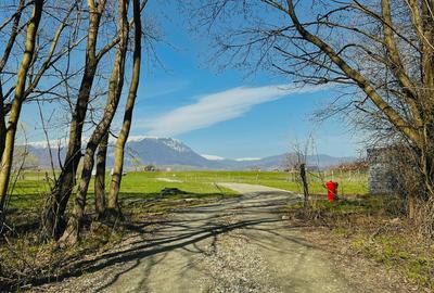 Teren intravilan Râșnov – Glejerie  5 parcele x 1000 mp  Capăt Str. Greierilor - 3