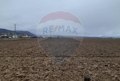 Teren intre case, 7.150mp Rasnov / Strada Glajeriei - 2