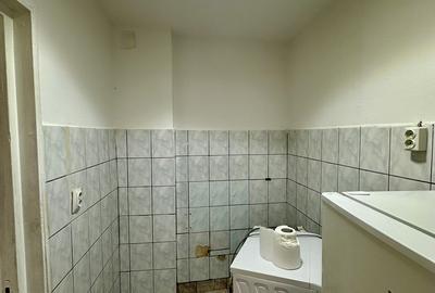 Lacul Tei, langa Facultatea de Constructii - 6