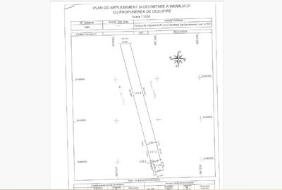 Oportunitate vanzare teren sat Dumbrăveni -Balotesti-, jud Ilfov - 2