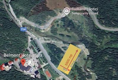 Teren de vanzare - 5000 mp - Peștera Padina - 2