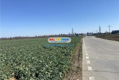 Vanzare teren industrial Paulesti Prahova gata de construit - 5