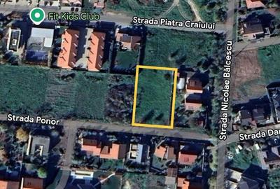Dumbravita Teren Intravilan 1466mp Front 29m | Langa Padure - 9