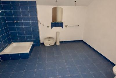 Mobil mixt: locuință + spații comerciale | Reșița | 556 mp - 5
