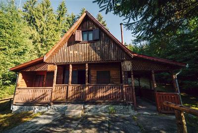 Casa de vacanta (Gheorgheni, zona Magasbukk) - 1