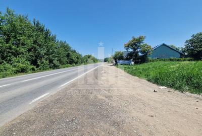 Teren intravilan | 17300 mp | 20 de parcele | Soseaua de Centura - 5