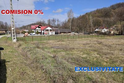 AZURA Imobiliare - Teren Babana Central la Asfalt - 1