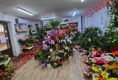 De vânzare spațiu comercial in centrul orasului Baraolt - 7