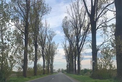 Teren Construcții intravilan de 55000 mp, în Ștefăneștii de Jos