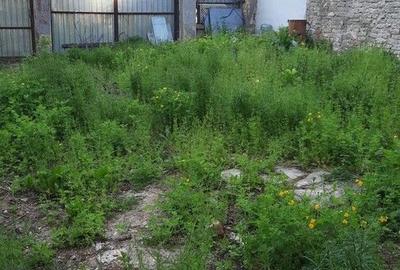 Teren de 411 mp | Bucurestii Noi - 2