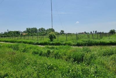 Teren intravilan 10.000mp cu utilitati, imprejmuit, Loc. Sanleani langa Amatex - 9