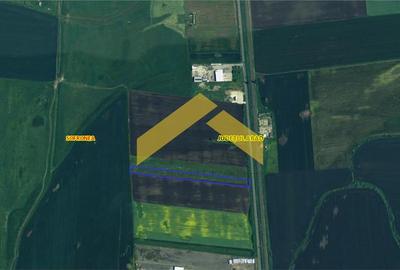 Teren agricol extravilan de 10000 mp, în Șofronea