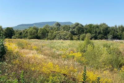 Teren agricol extravilan de 4100 mp, în Nord