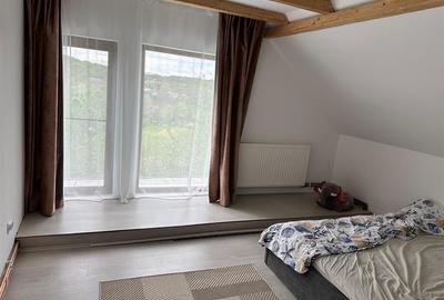 Casa P+M renovata 2025, 111 mp, 3.029 mp teren, Drajna de Sus - 12
