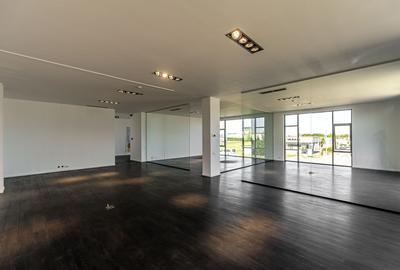 Birouri Premium de 304 mp în Zona Industrială Vest Arad - 9
