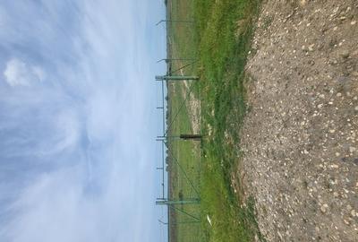 Vindem 10 Ha teren,fosta livadă de afine,Sintea Mare,Arad Oportunitate Unica - 2