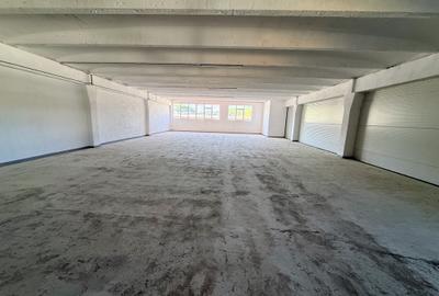 SPATII INDUSTRIALE, la etaj 1, 1364MP - direct de la proprietar - 18