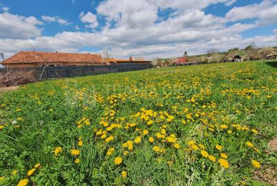 Teren de 1451 mp cu utilitati -  Haghig, jud. Covasna - 4