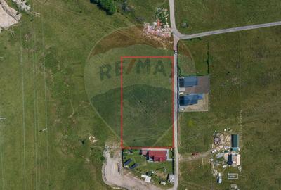 Teren Tohanu Nou, intrare Sohodol, 4800mp - 3