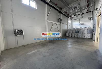 Vanzare spatiu industrial Crevedia - 8