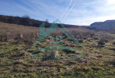 Oportunitate de investitie! Teren intravilan de vanzare in zona lacului Chinteni - 2