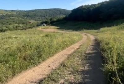 Teren Construcții intravilan de 6000 mp, în Florești