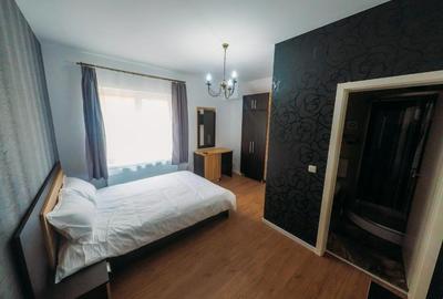 Pensiune de vânzare in Toplita,  investitie turistica! - 13