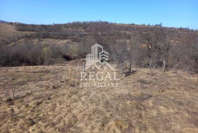 Două case de vânzare – Cerisor – teren generos 6996 mp - 15