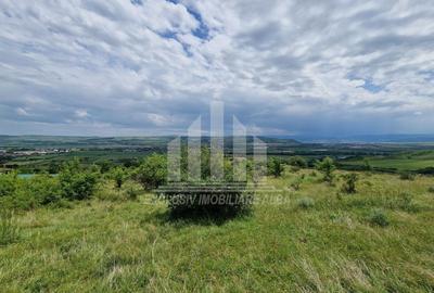 Teren extravilan | De vanzare | 1400 mp | 13 ml deschidere | Paclisa - 2