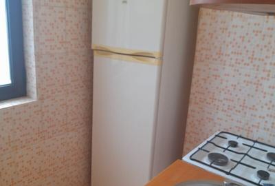 DOROBANTI ,IANCU DE HUNEDOARA GARSONIERA  PET FRIENDLY INCHIRIERE - 6